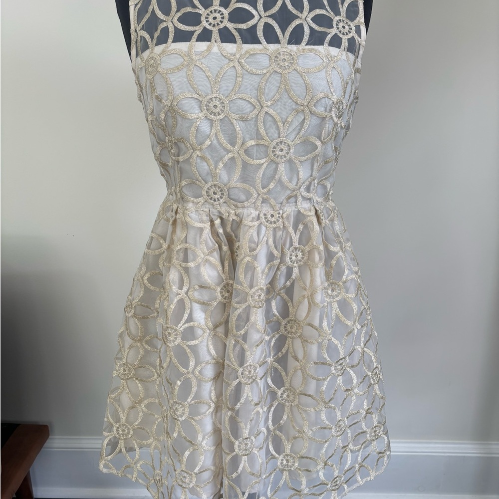 BB Dakota Champagne Floral Sleeveless Dress
